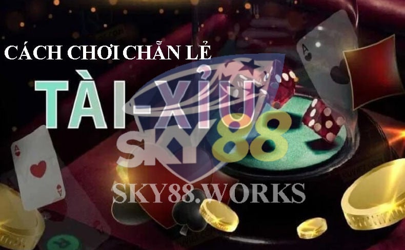 cách chơi chẵn lẻ tài xỉu