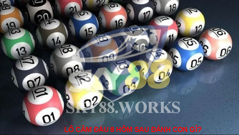 Hướng dẫn lô câm đầu 8 hôm sau đánh con gì