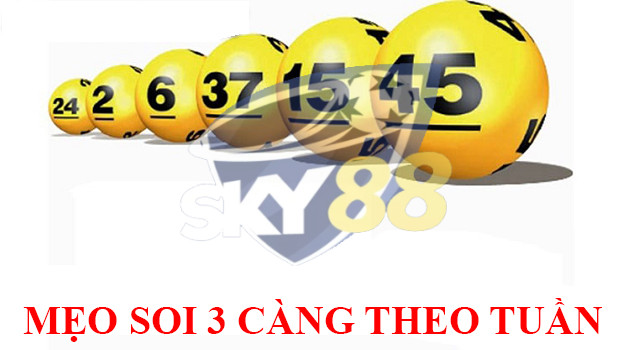 Soi 3 càng theo tuần