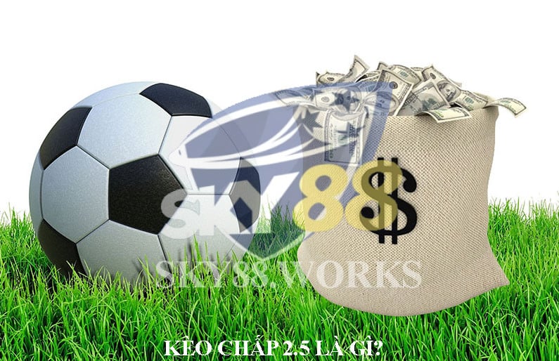kèo chấp 2.5 là gì