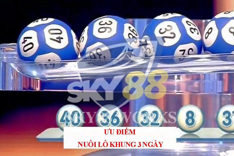 ưu điểm nuôi lô khung 3 ngày