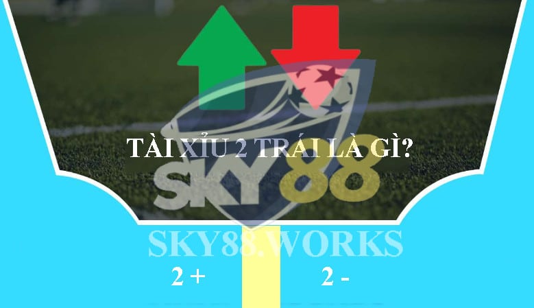 tài xỉu 2 trái là sao