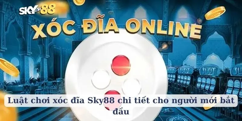 Luật chơi xóc đĩa Sky88 chi tiết cho người mới bắt đầu